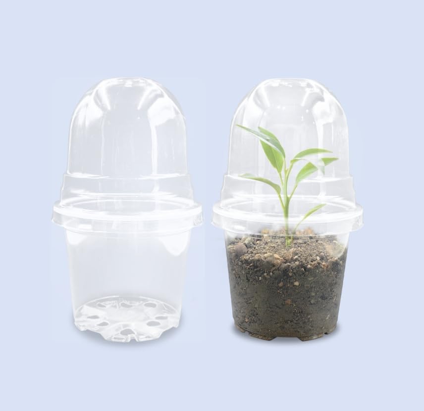 Transparent Nursery Pots 4Inch with Humidity Domes for Seeds Starting, Clear Plastic Plant Pots with Drainage Holes (4Inch, 30Pcs,Clear Pots with Lids)