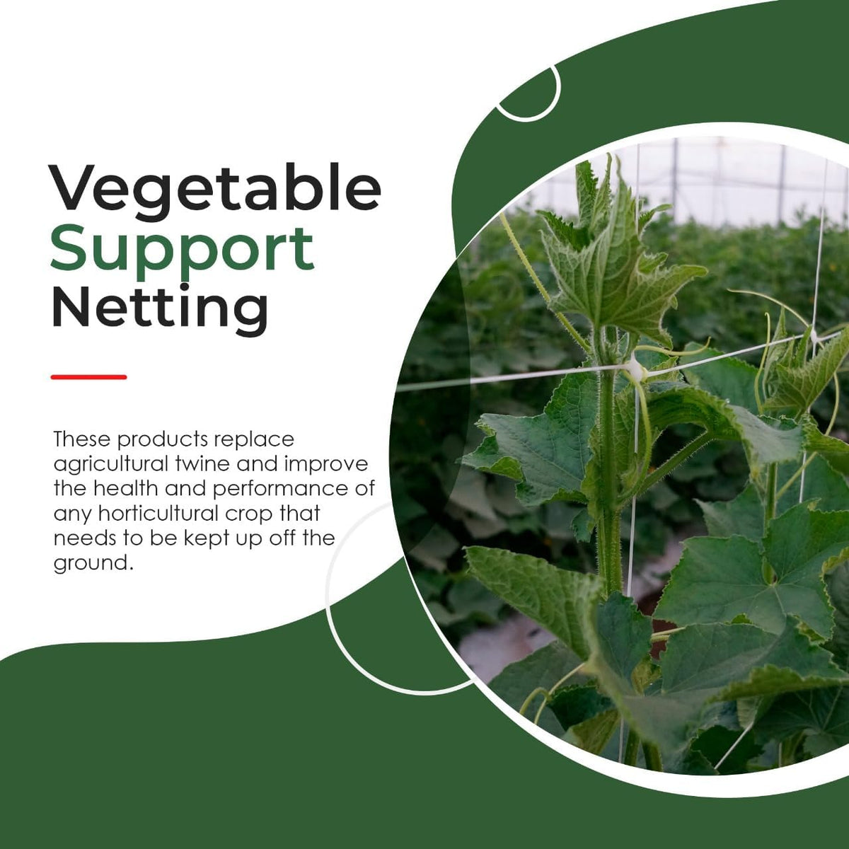6.5 Feet by 4920-Feet Professional Grade Vegetable Support Trellis Netting Roll/Scrog Net Roll, (79" x 4920' / 2m x 1500m) (mesh 5.9"x6.7" / 15cm x 17cm)