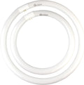 FC16T9/CW 40W & FC12T9/CW 32W Cool White Set, 16 inch T9 40 Watts & 12 inch 32 Watts Round Fluorescent Light Bulb, Circular Bulb Kitchen and Bath, 841 4100K, G10q 4 pin Prong