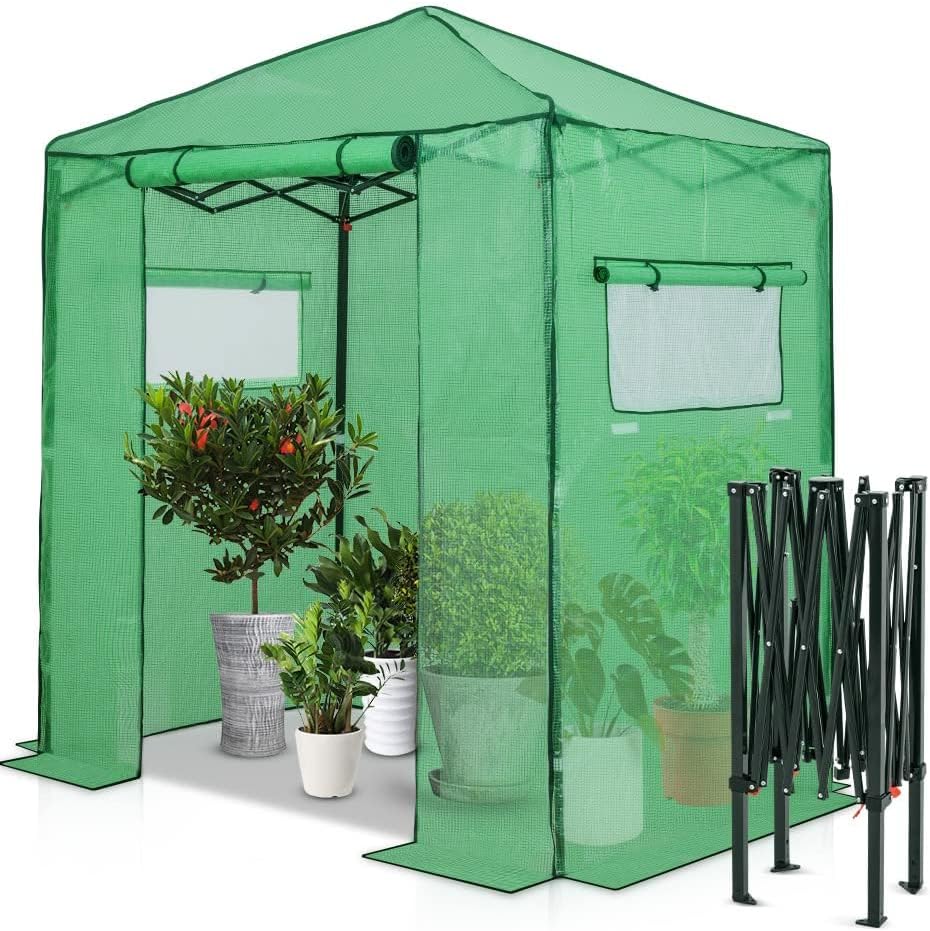 EAGLE PEAK Instant Pop-up Greenhouse, Indoor Outdoor Plant Gardening Green House, Roll-Up Zipper Doors and Side Windows, Walk in 6x4 ft, PE Cover, Green/Clear