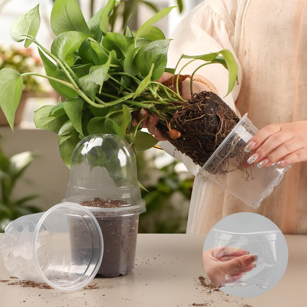 Transparent Nursery Pots 4Inch with Humidity Domes for Seeds Starting, Clear Plastic Plant Pots with Drainage Holes (4Inch, 30Pcs,Clear Pots with Lids)