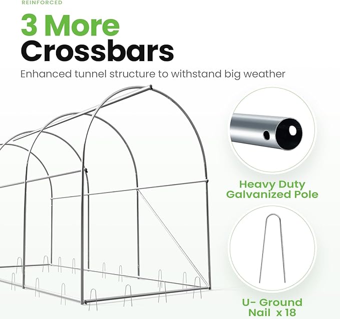 KING BIRD Premium 10x6.6x6.6FT Greenhouse for Outdoors, Large Walk-in Heavy Duty Galvanized Steel Frame, Mesh Door Screen Window Upgraded Zipper Tunnel Hoop for Garden Plant Winter, Green