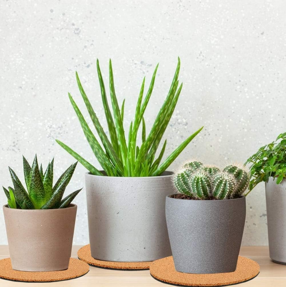 10 Pieces 3 Sizes Cork Plant Coasters, 4/6/8 Inch Cork Plant Mats, Cork Coaster for Planters, Plant Coasters for House Plants Indoors (Nude & Black)