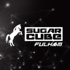 Fulham Lighting SC-120-213-LT5 SugarCube Electronic 1 or 2-Lamp Ballast, (Pack of 1)
