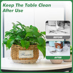 40 Pack 12 Inch Plant Saucer Clear Plant Saucers for Outdoors Plants Drip Trays Extra Large Pot Saucer No Holes Pot Saucers Planter Trays for Outdoor Plants Bulk Plastic Tray for Flower, Potted Tree