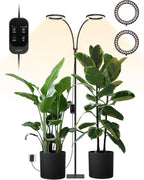GLOWRIUM 48W LED Dual-Head Grow Light for Indoor Plants, 23.5-71" Adjustable Height, 3-Growing Full Spectrum for Tall Plant Light, 3/9/12/16H Timer, 6-Level Dimming, Ideal for Large Tall Plants
