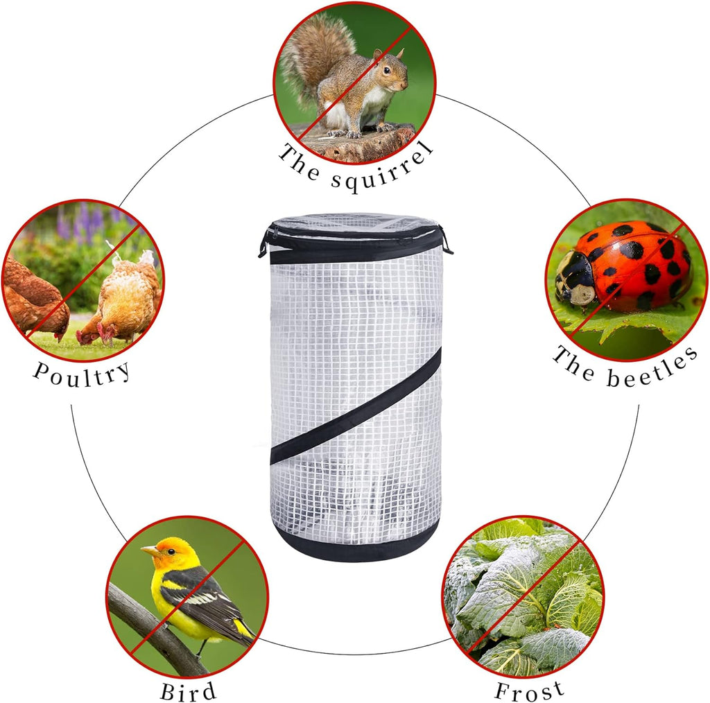 DECOHS 2 PCS Pop up Mini Greenhouse-23.4x11.6 Inch PVC Spring-up Plant Protector with Zipper-Portable Greenhouse Cover for Gardening Plants Cold Frost Protection Wind Rain Proof
