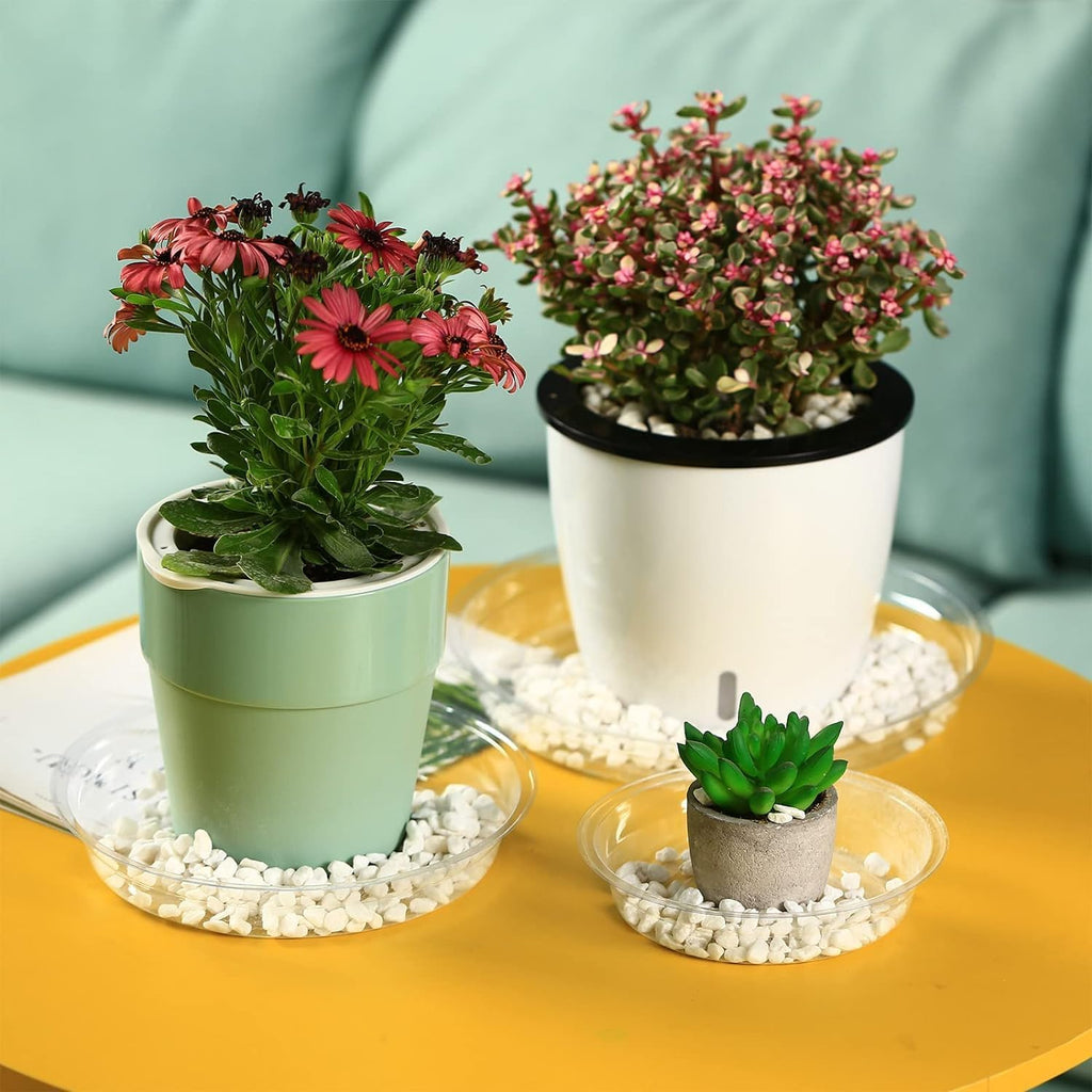 50 Packs 6" Small Clear Plant Saucers for Indoor Outdoor Use Heavy Duty Plastic Plant Trays for Planter Bulk Lower Pot Drip Trays to Catch Water, 4 to 20 Inch, Round Transparent