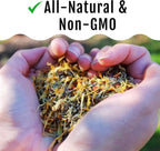 Herb Supplement for Backyard Chickens - Natural Chicken Treats, Poultry Feed Botanical Mix, Plant-Based Coop Snacks for Daily Wellness, Feather Quality, Egg Production, USA (12 oz)