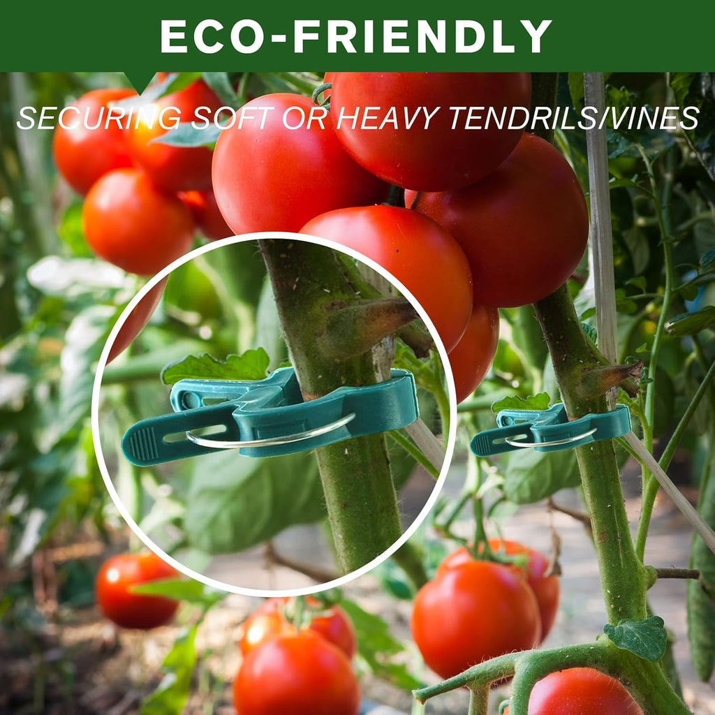 Plant Clips for Climbing Plants, Tomato Clips and Garden Clips for Vine Support, Plant Support Clips for Tomatoes and Garden use (Green, 20 small20 Big)