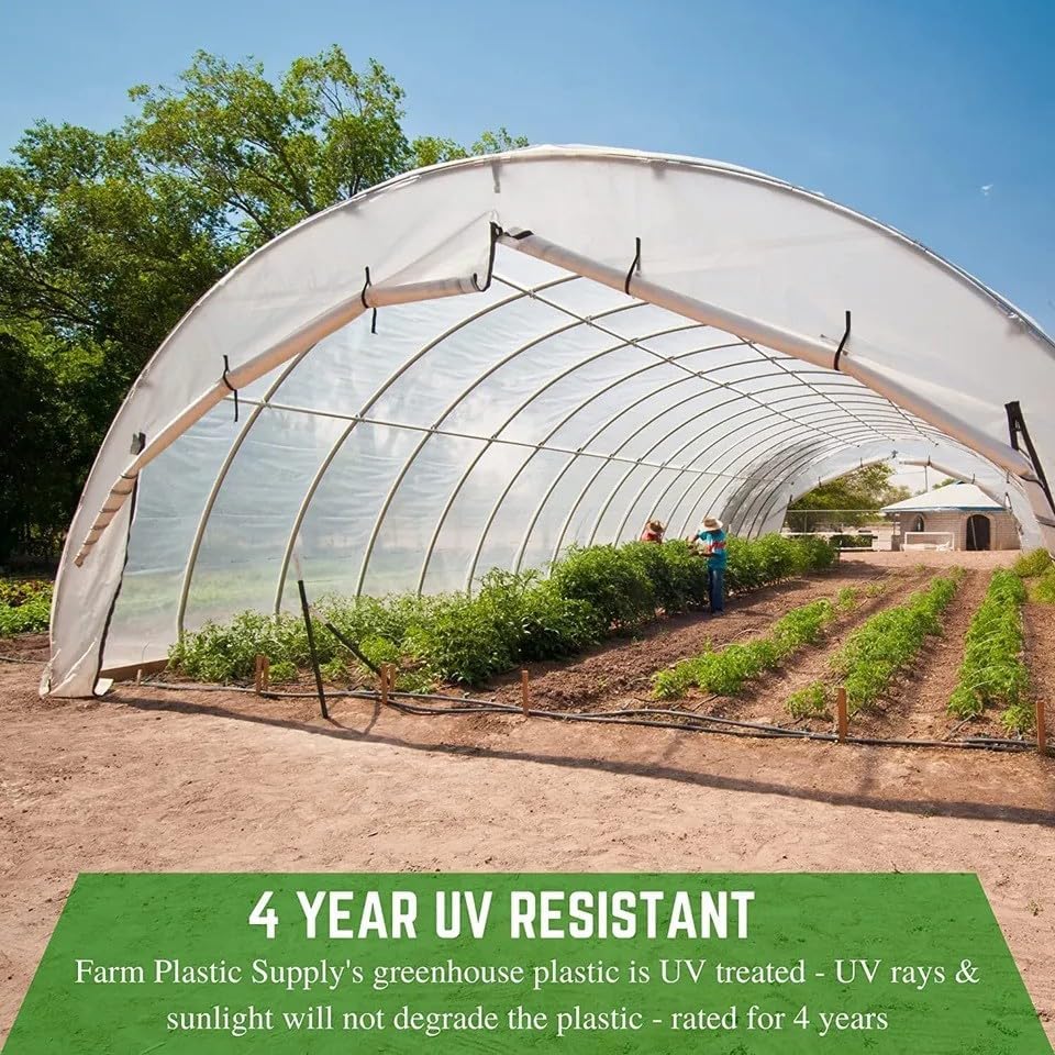 Farm Plastic Supply 4 Year Clear 6 mil Greenhouse Plastic Sheeting - Clear Polyethylene Sheeting, Polyethylene Film, Transparent Plastic Film for Greenhouse (25' x 100')