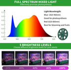 Seed Starter Tray with Plant Light, 4 Pack Grow Lights for Seed Starting Kit with Humidity Domes, Timing Controller Adjustable Brightness for Greenhouse Propagator Station Planting Growing
