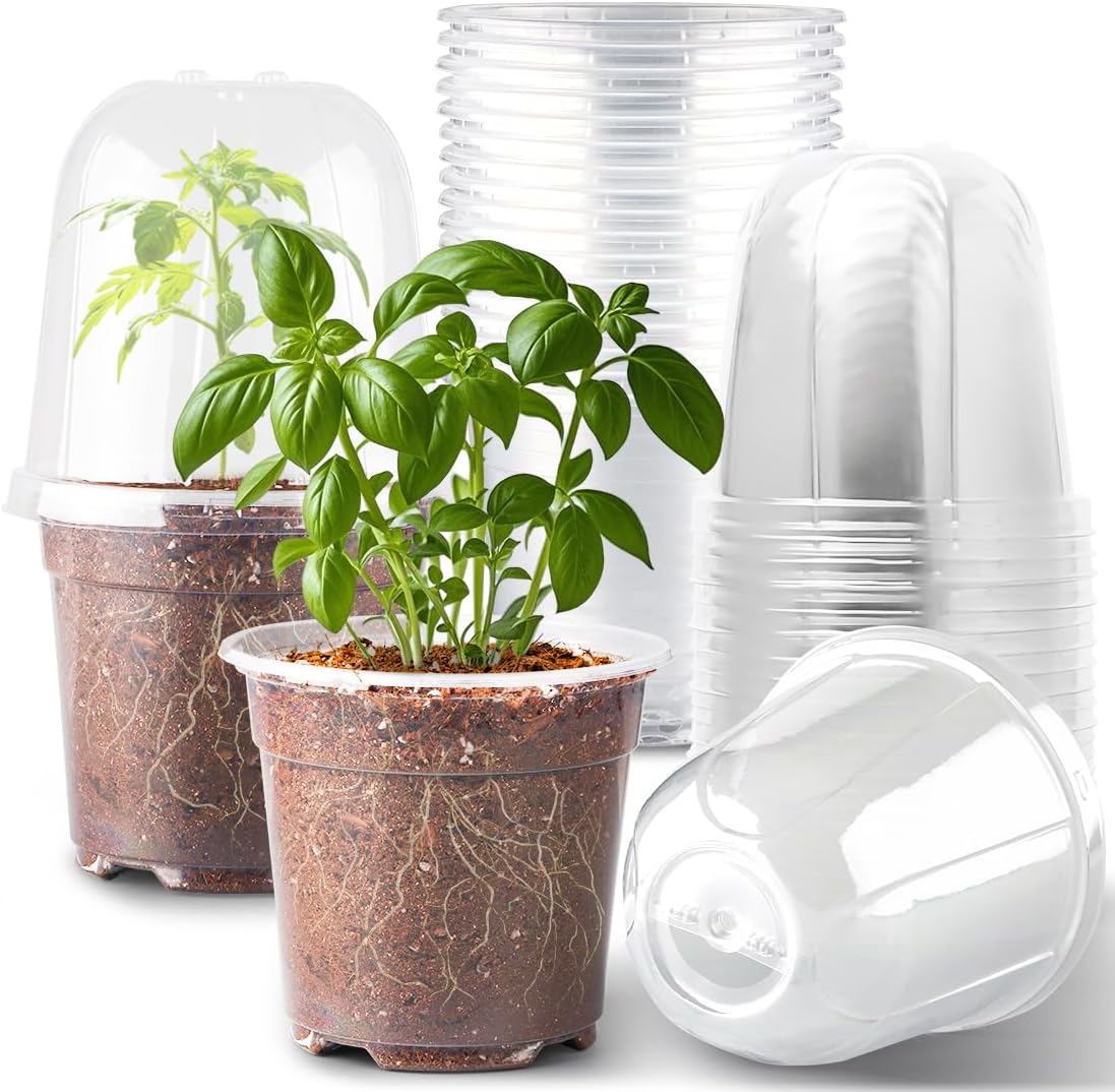6 Inch Clear Nursery Pots with Humidity Dome, 15 Pack Durable Seed Starting Pot with Drainage Holes, Transparent Plastic Plant Seedling Pots for Indoor Gardening Plants