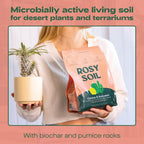 Cactus and Succulent Organic Potting Soil Mix for House Plants - Fast Draining, Root Boosting, Peat-Free, Less Prone to Gnats - Drought-Tolerant - Growth of Aloe Vera, Cacti and Indoor Succulents- 4qt