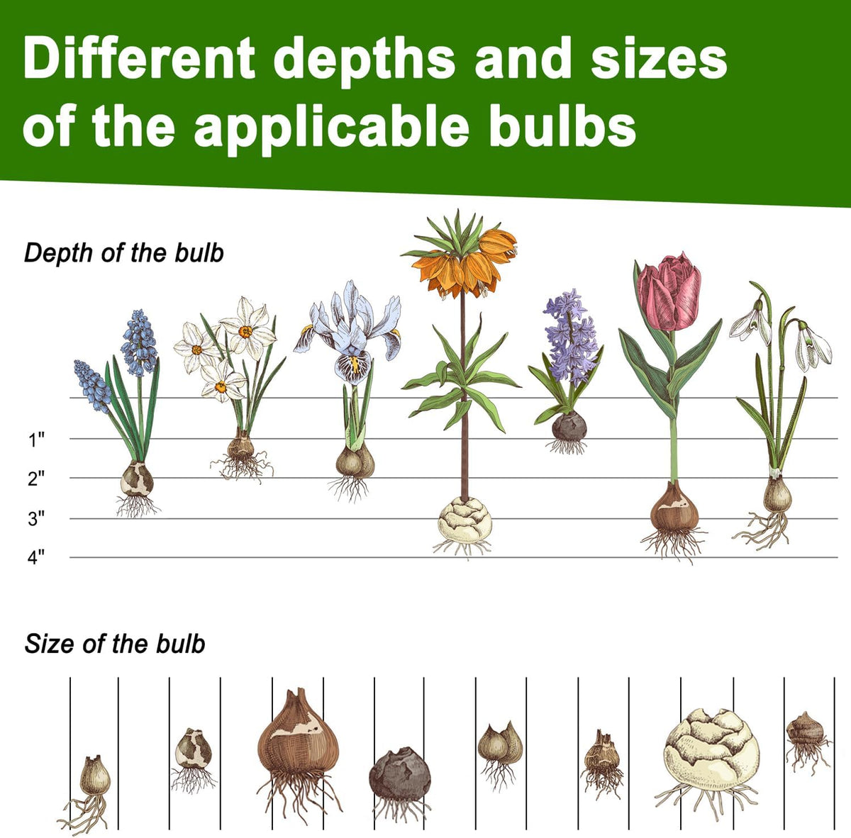 Bulb Planter Tool, Sod Plugger with Long Handle Serrated Base, 5-in-1 Lawn Plug Garden Tool for Transplanting, Digging, Grass Plug, Soil Sampler, Planting for Tulips, Iris, Daffodils