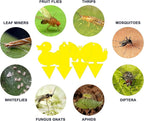 Gideal 48-Pack Dual-Sided Yellow Sticky Traps for Indoor/Outdoor Use, Gnat Trap for Flying Plant Insect Such as Fungus Gnats, Whiteflies, Aphids, Fruit Fly, Leafminers, etc - Cute Shapes