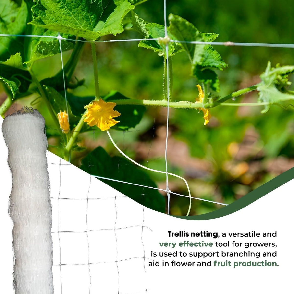 5ft by 4920-Feet Professional Grade Vegetable Support Trellis Netting Roll/Scrog Net Roll, (59" x 4920' / 1.5m x 1500m) (mesh 5.9"x6.7" / 15cm x 17cm)