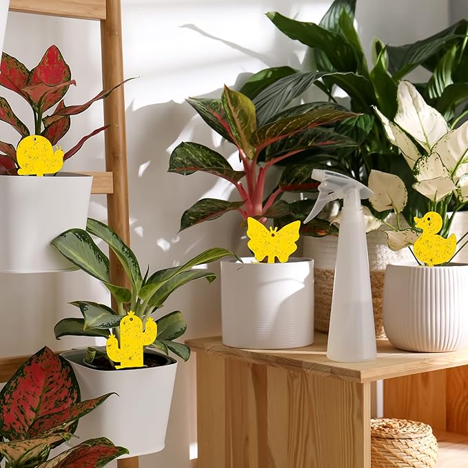 Gideal 48-Pack Dual-Sided Yellow Sticky Traps for Indoor/Outdoor Use, Gnat Trap for Flying Plant Insect Such as Fungus Gnats, Whiteflies, Aphids, Fruit Fly, Leafminers, etc - Cute Shapes