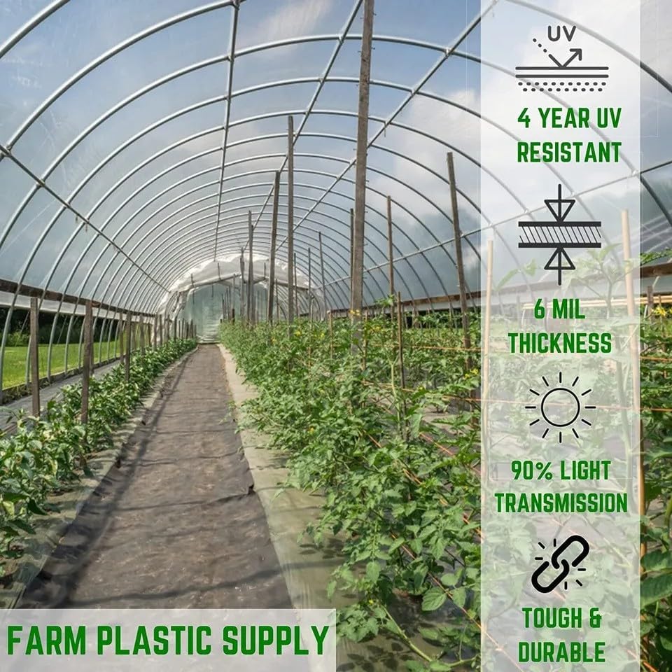 Farm Plastic Supply 4 Year Clear 6 mil Greenhouse Plastic Sheeting - Polyethylene Transparent Greenhouse Film (20' x 40')