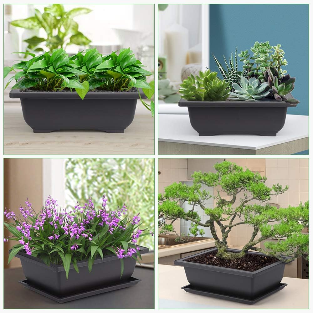 GROWNEER Bonsai Training Pots 3 Packs 9Inch with Drainage Humidity Trays, Bonsai Tree Starter Kits with 1 Repotting Mat, Growing Planter Set for Garden, Yard, Balcony, Office, Living Room