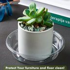 Plant Saucer 20 Pack Plant Trays for Pots 6 Inch Plastic Plant Saucers for Outdoors and Indoors Clear Drip Trays for Potted Plants Flower Pot Plates to Catch Water Plant Drainage Dishes No Holes