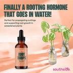 Root Drops - Liquid Rooting Hormone | Fast Propagation, Stronger Roots, Less Shock | Works in Water, Soil, Leca, Moss | for All Indoor Houseplants Like Pothos, Monstera, Philodendron (4 oz)