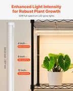 VEVOR Indoor Greenhouse with Grow Light, 59 in Tall 4-Tier Plant Stand with Clear Cover, Timer & Hygrometer, 180W Full Spectrum Grow Lights, Metal Lighted Plants Shelf Holder for Indoor Plants