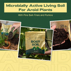Rosy Soil Aroid Soil Potting Mix - Peat-Free, Microbially Active Biochar Powered Soil for Aroids - Superior Aeration & Drainage for Aroid Plants - Ideal for Indoor Gardening - 4 Quarts