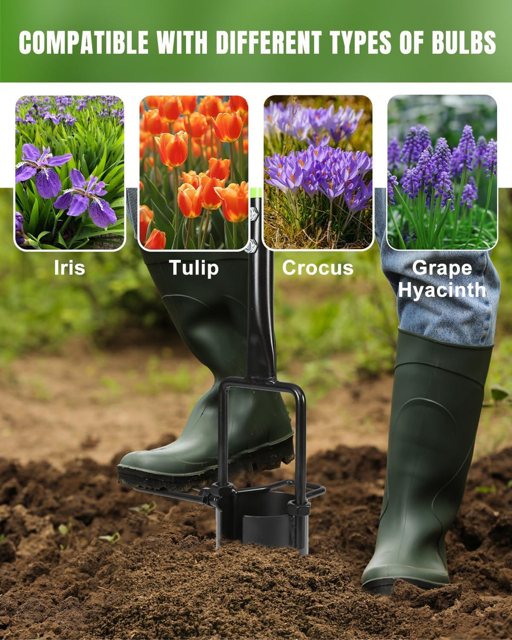 Joyhalo Bulb Planter Tool Long Handle, 30in Serrated Base, 5 in 1 Lawn Tool, Sod Cutter, Grass Plugger Tool, Weeding, Transplanting, Garden Hole Digger for Plants, Flower Tulips Daffodils Lily