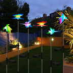 EiGreen 6 Pack Solar Garden Stake Lights Outdoor, Yard Figurine Stake Light, Flower Hummingbird Dragonfly Butterfly for Patio Yard Pathway Decoration (Garden)