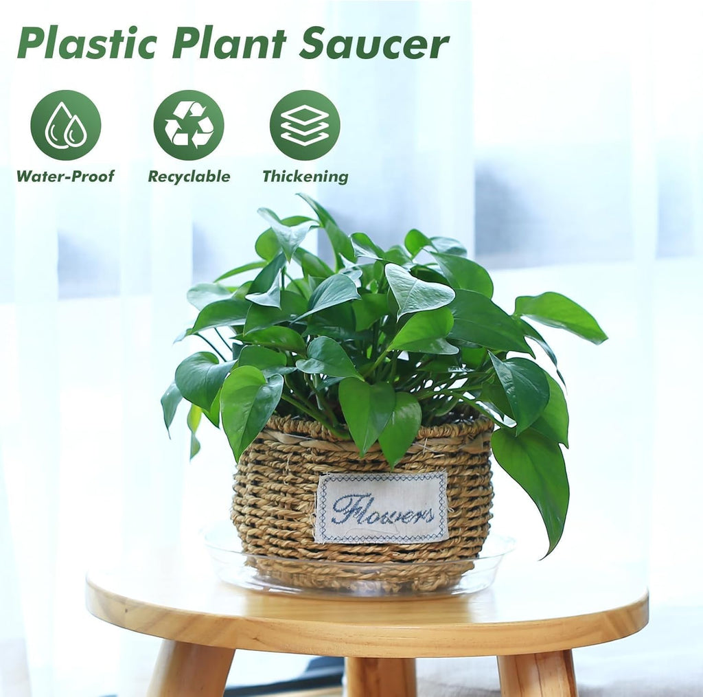40 Pack 4 Inch Plant Saucer Clear Plant Saucers for Indoors Flower Pot Saucers Small Plant Plate Dish Plant Pot Saucers Plant Trays for Pots Bulk