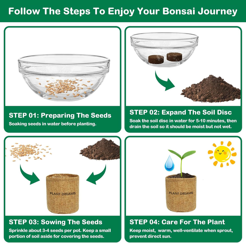 Bonsai Tree Kit, Complete Bonzai Tree Starter Kits with Tools, Unique DIY Gardening Gifts for Mom Women Men, Crafts Hobby Kits, Grow Bonsai Tree Live Indoor