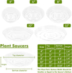 Plant Saucer 50 Pack Plant Trays for Pots 6 Inch Plastic Plant Saucers for Outdoors and Indoors Clear Drip Trays for Potted Plants Flower Pot Plates to Catch Water Plant Drainage Dishes No Holes
