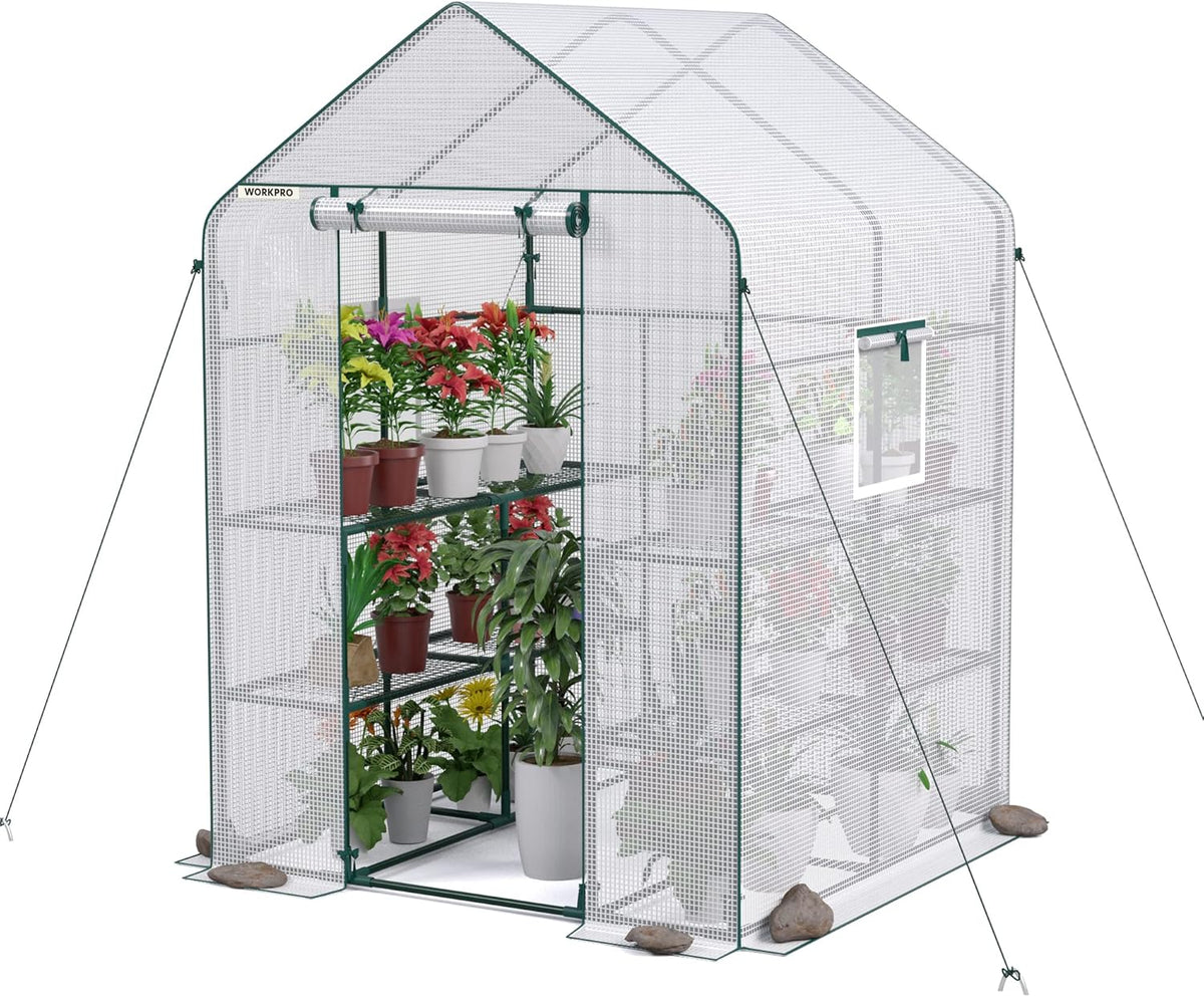 WORKPRO Greenhouse, 56” x 56” x 77” Heavy Duty Walk in Greenhouses for Outdoors with Screen Windows, Thicken PE Cover, 3 Tier 8 Shelves Portable Green House Kit for Patio, Backyard and Porch