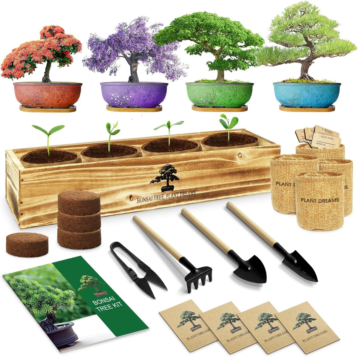 Bonsai Tree Kit, Complete Bonzai Tree Starter Kits with Tools, Unique DIY Gardening Gifts for Mom Women Men, Crafts Hobby Kits, Grow Bonsai Tree Live Indoor