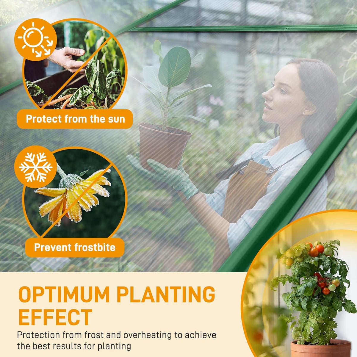VINGLI Greenhouse, 6x10 FT Heavy Duty Polycarbonate Greenhouse with 5 Roof Vents, Aluminum Frame, Sliding Doors, Green