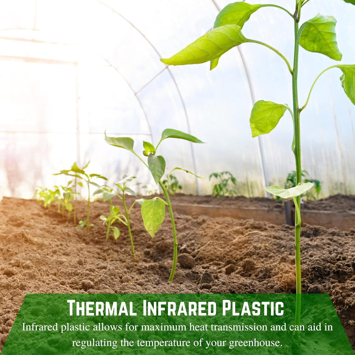 Farm Plastic Supply - Clear IRAC Greenhouse Plastic Sheeting - 6 Mil - (20' x 70') - 4 Year UV Resistant Infrared Anti-Condensate Green House Covering Thermal Greenhouse Plastic 6 mil