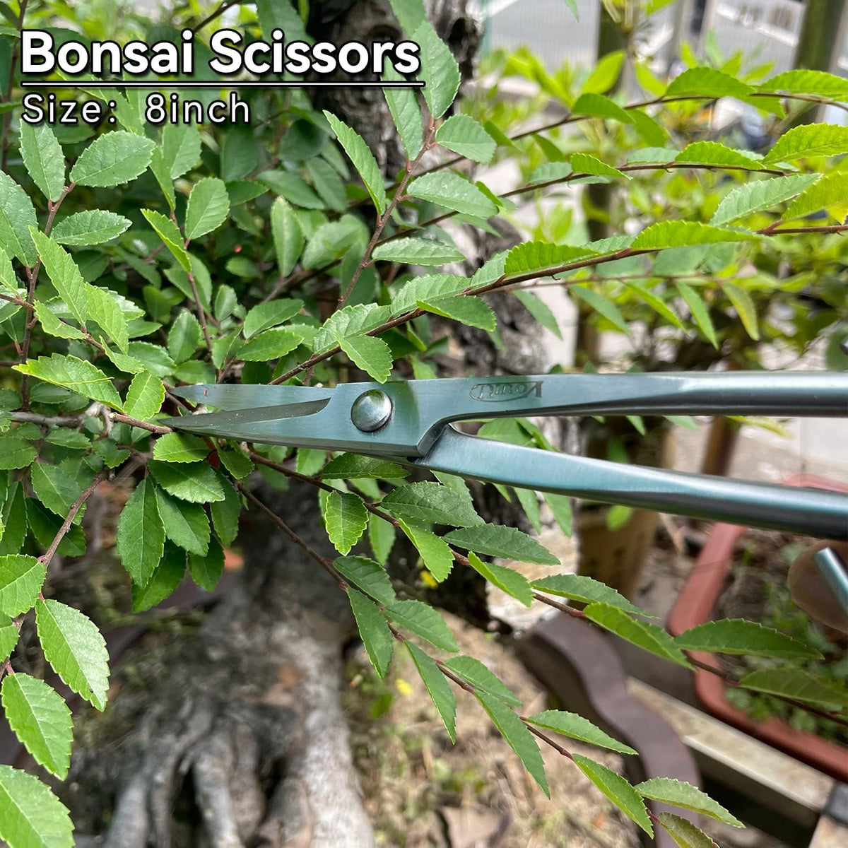 8inch Bonsai Scissors Bonsai Tools
