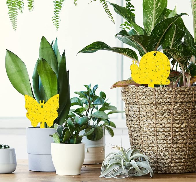 Gideal 48-Pack Dual-Sided Yellow Sticky Traps for Indoor/Outdoor Use, Gnat Trap for Flying Plant Insect Such as Fungus Gnats, Whiteflies, Aphids, Fruit Fly, Leafminers, etc - Cute Shapes