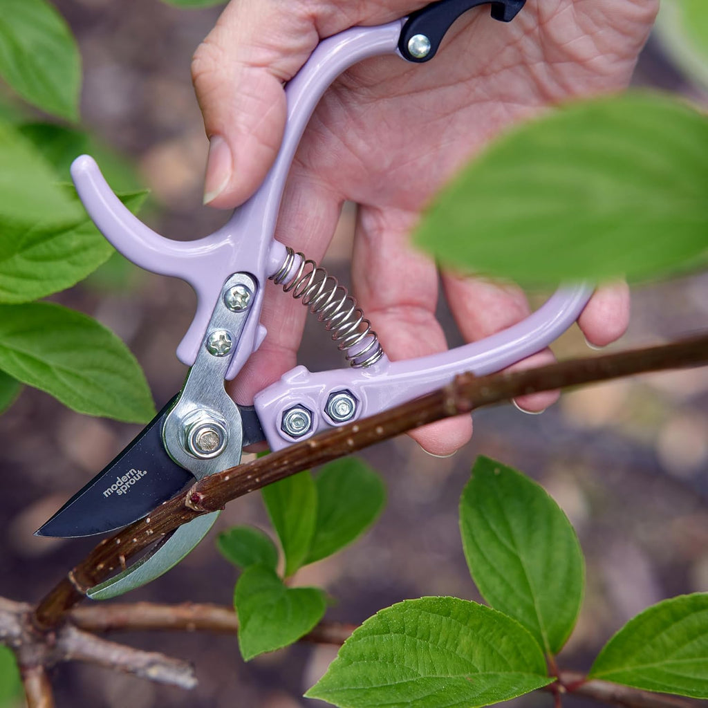 Modern Sprout Hand Pruners - Lightweight Pruning Shears W/Easy Lock- Gardening Scissors - Bypass Sharp Carbon Steel Blade - Rust Resistant - Garden Tools - Reusable Holster - Lavender