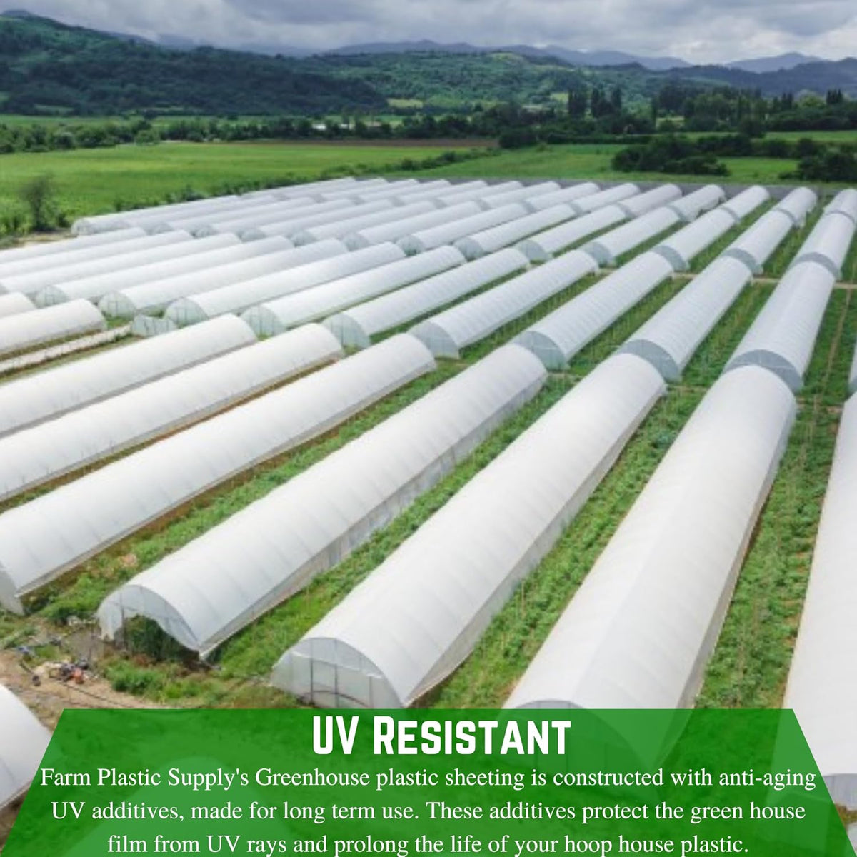 Farm Plastic Supply - String Reinforced 4 Year UV Resistant 10 mil White Greenhouse Plastic Sheeting - 4 Year UV Resistant Polyethylene Greenhouse Film, Hoop House Green House Cover (32' x 20')