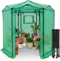 EAGLE PEAK 6.6x6.6 ft Hexagon Pop up Greenhouse, Portable Walk-in Grow Tent for Seed Starting, Garden Plants, Indoor Outdoor Green House, All-Weather Plant Shelter, PE Cover, Green/Clear