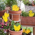 Gideal 48-Pack Dual-Sided Yellow Sticky Traps for Indoor/Outdoor Use, Gnat Trap for Flying Plant Insect Such as Fungus Gnats, Whiteflies, Aphids, Fruit Fly, Leafminers, etc - Cute Shapes