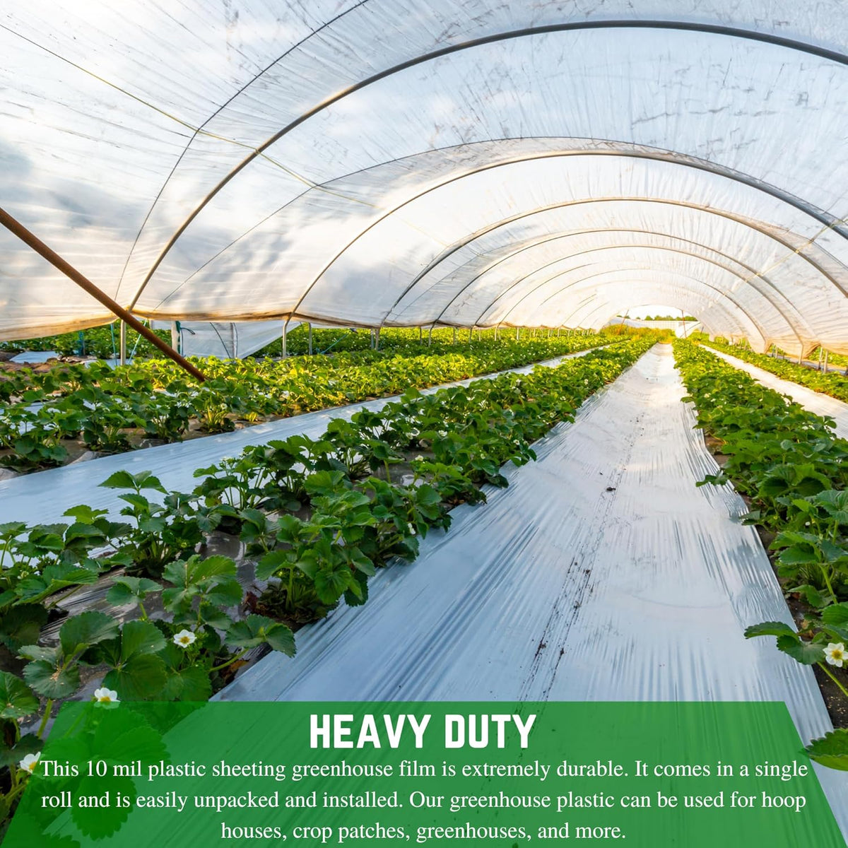 Farm Plastic Supply - String Reinforced 4 Year UV Resistant 10 mil Clear Greenhouse Plastic Sheeting - 4 Year UV Resistant Polyethylene Greenhouse Film, Hoop House Green House Cover (60' x 10')