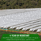 Farm Plastic Supply - White Greenhouse Plastic Sheeting - 6 mil - (32' x 50') - 4 Year UV Resistant Poly Greenhouse Film, 55% Light Transmission Hoop House Cover for Gardening, Agriculture