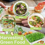 Stainless Steel Sprouts Growing Kit 4-Tier 10.4 inch Trays, Microgreens Growing Kit, Seed Sprouting Tray with Encrypted Mesh Sprouts for Beans Alfalfa Broccoli Wheat Grass