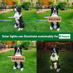 Border Collie Solar Welcome Statue, Hand-Painted Resin Sitting Dog Figurine with Lantern and Dual Wooden-Style Signs, Intelligent Guardian Sculpture for Garden and Porch Décor