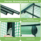 Mini Greenhouse for Indoor Outdoor,Plant Green House 4-Tier Rack Stand Portable Greenhouses with Durable PE Cover for Seedling, 2.5x1.6x5.2 FT Ideal Gardening Gifts for Women Men(PLGH704G)