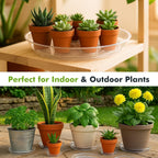 100 Packs 4" Small Clear Plant Saucers for Indoor Outdoor Use Heavy Duty Plastic Plant Trays for Planter Bulk Flower Pot Drip Trays to Catch Water, 4 to 20 Inch