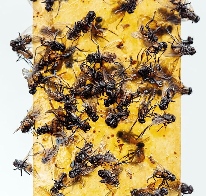 Gideal 2-Pack Yellow Sticky Fly Traps Pest Control for Indoor/Outdoor Use, Gnat Trap for Flying Plant Insect